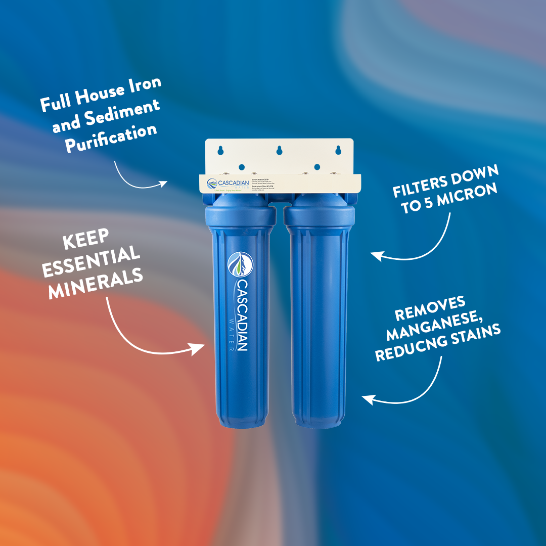 ICS-SI Multimicron Sediment and Iron Filter