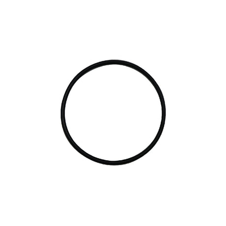 AF-ORING25 - Parts and Accessories - Cascadian Water