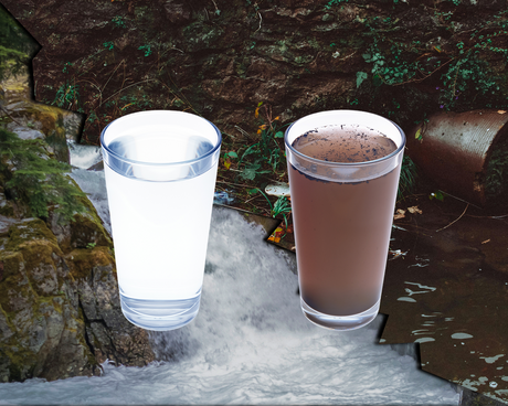 Water Softeners vs Reverse Osmosis: What Actually Fixes Hard Water?