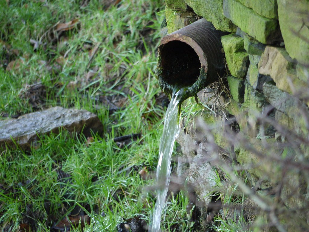 Are You a Water Waster - You Might Not Know, Let's Find Out - Cascadian Water