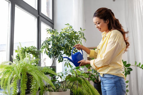 Revolutionizing Plant Care - Salt-Free Water Softener - Cascadian Water