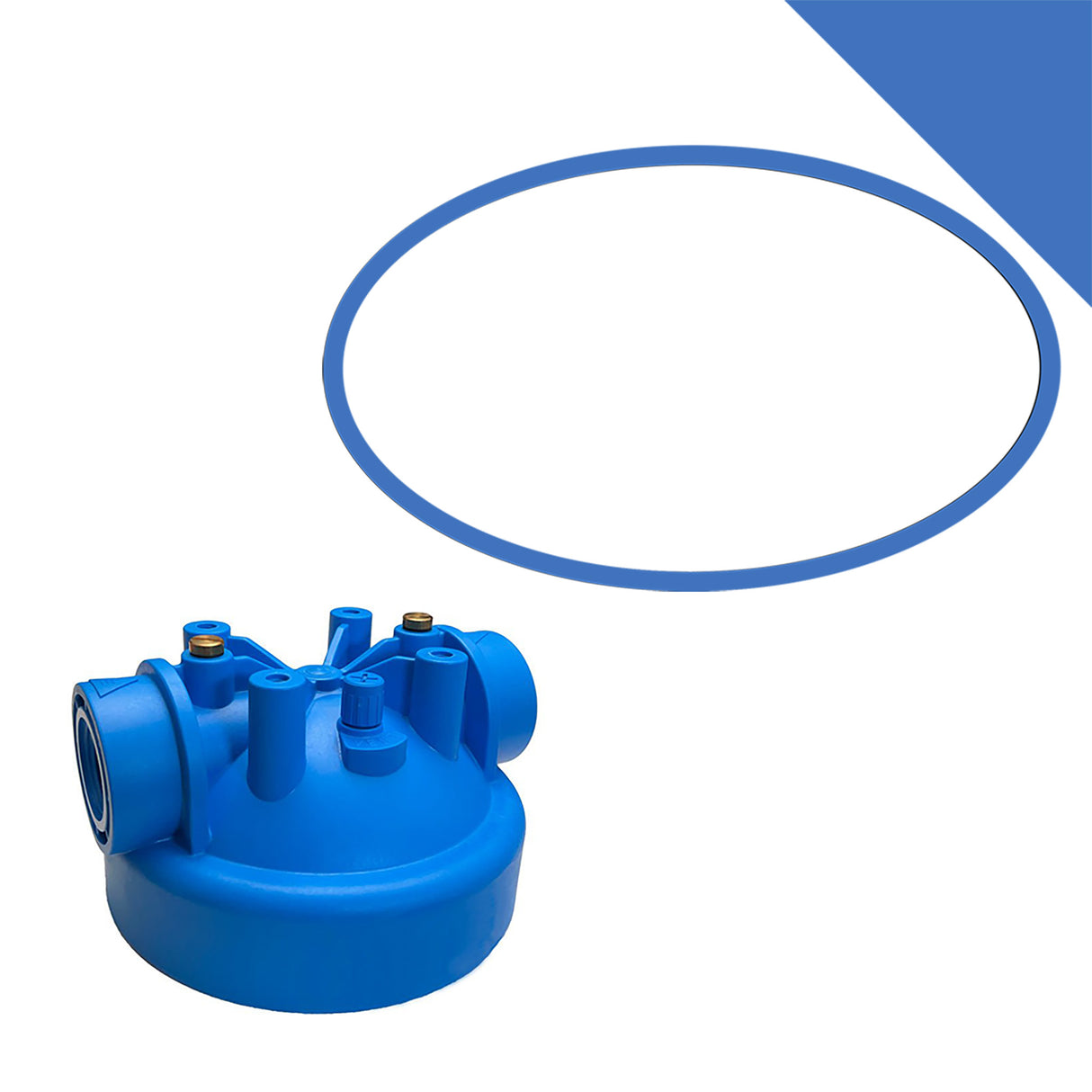 Blue O-Ring for 2nd. Generation (with blue cap) ICS Systems for Whole Home or Business
