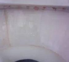 Pink Slime in Toilet bowl