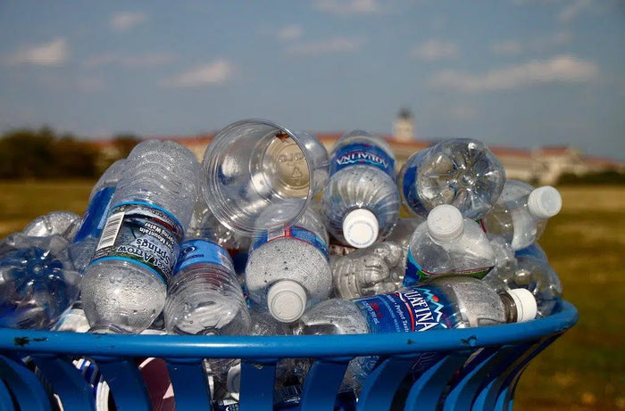 Single use water bottles in recycle bin