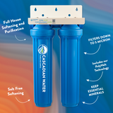 ICS-STP PolyHalt® Water Softener with Taste/Sediment Filters